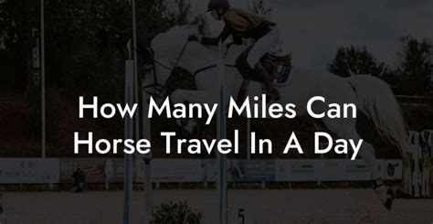 How Far Can a Horse Travel in a Day: Exploring the Boundaries of Distance and Capability