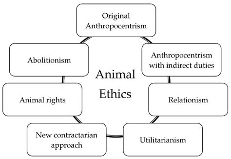 how to start an animal sanctuary: considering the ethical implications